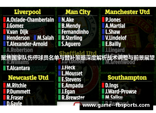 聚焦国家队伤停球员名单与替补策略深度解析战术调整与前景展望